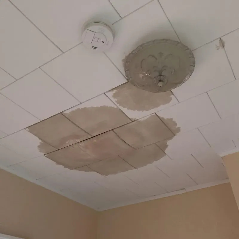 Ceiling Water Damage Repair in Black Mountain, NC
