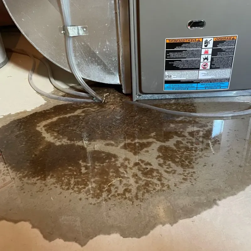 Pipe Burst and Leak Restoration in Black Mountain, NC
