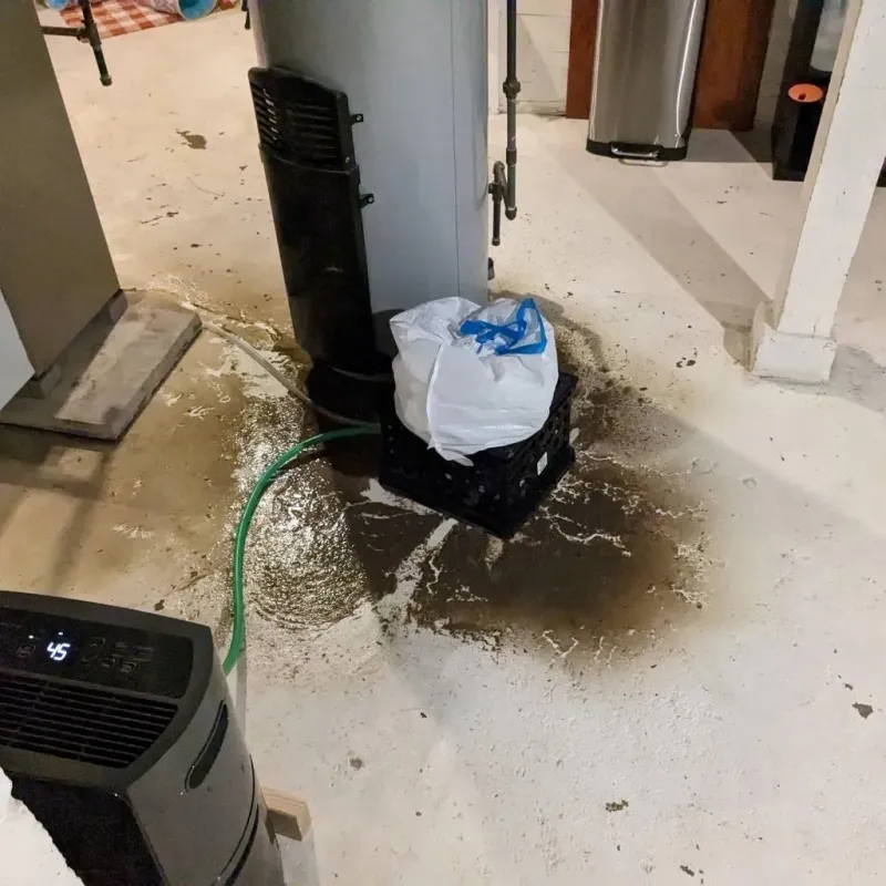 Sewage Backup Cleanup Service in Black Mountain, NC